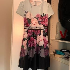 Ted baker Dress